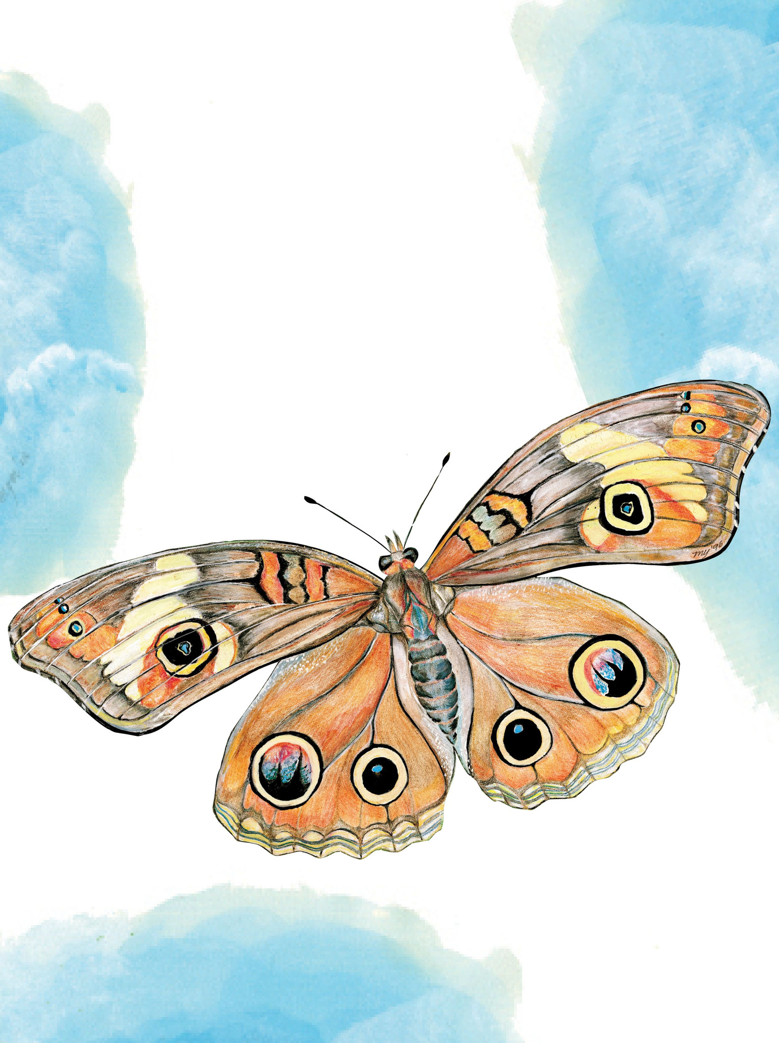 Giclee Print: Bella's Transformation